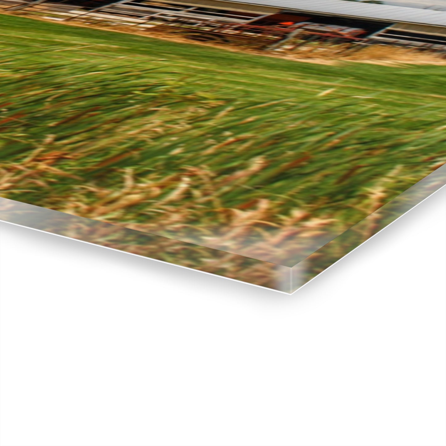 U R There Photography Millington Grey and Silos Rustic Farmhouse Acrylic Wall Print