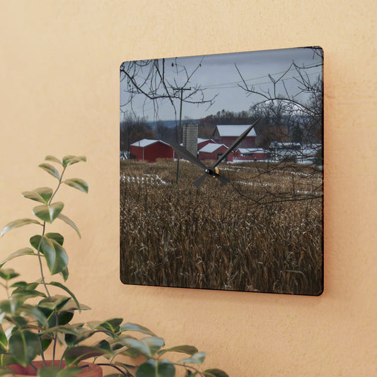 Barn Boutique Rustic Acrylic Analog Wall Clock| Beyond the Cornfield on Sutton