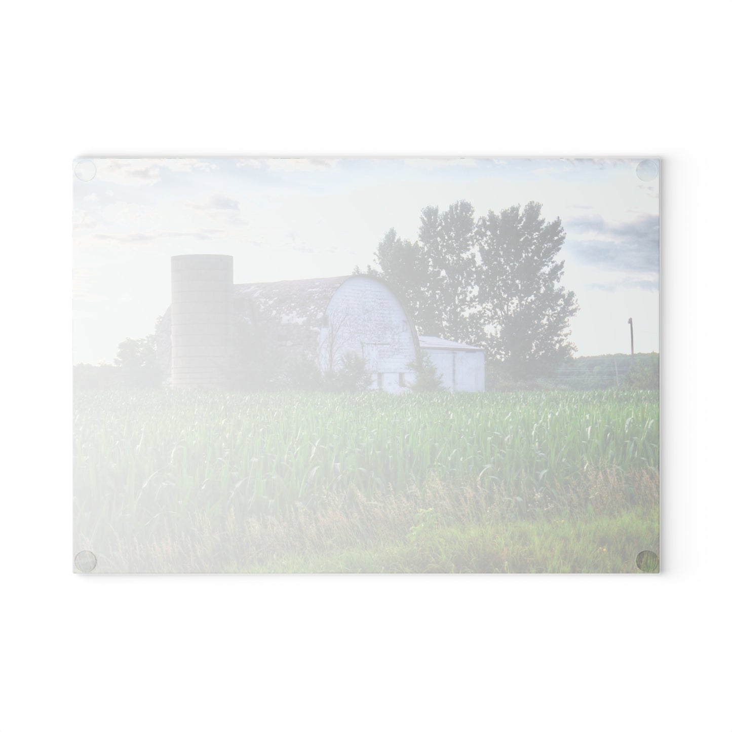 U R There Photography Genesee Road White Rustic Farmhouse Tempered-Glass Cutting Board