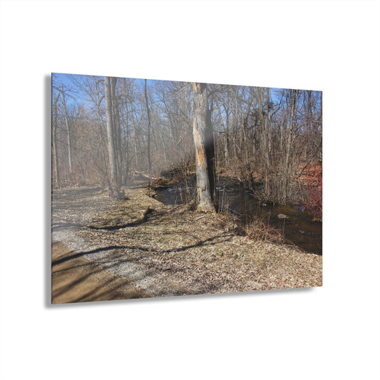 U R There Photography Creekside Seating Rustic Farmhouse Acrylic Wall Print