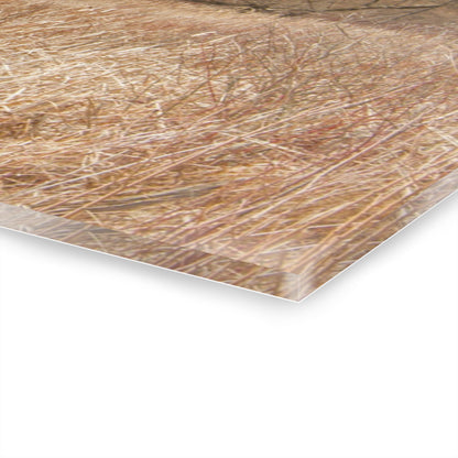 U R There Photography Hough Road Hidden Reds Rustic Farmhouse Acrylic Wall Print