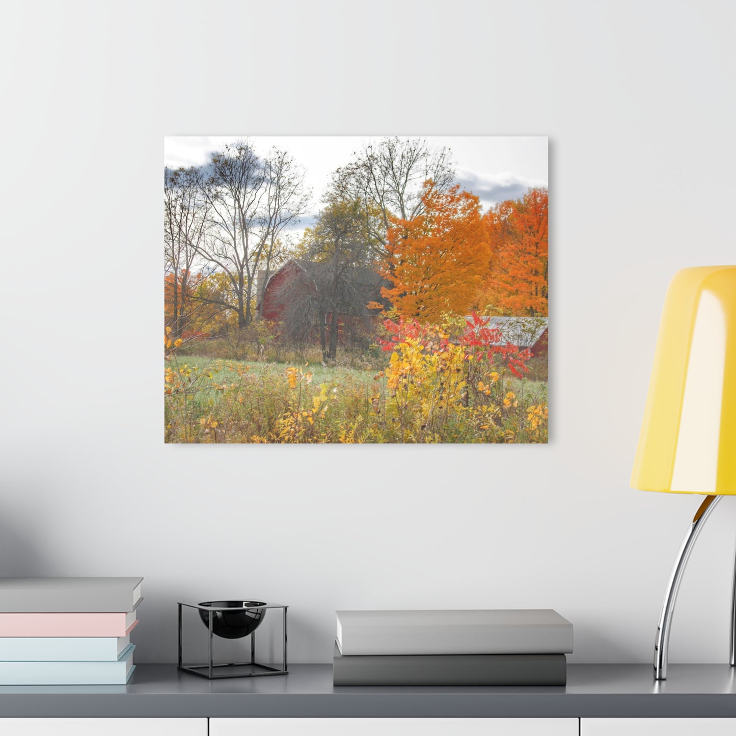 U R There Photography Bowers Hidden Red Rustic Farmhouse Acrylic Wall Print