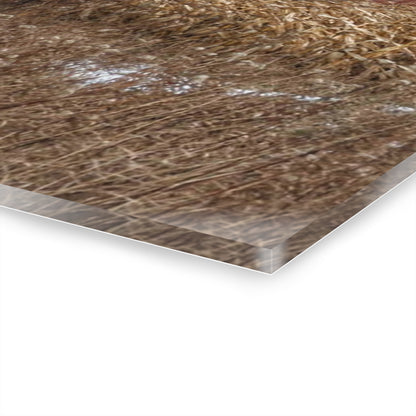 U R There Photography Edward Road Reds Rustic Farmhouse Acrylic Wall Print