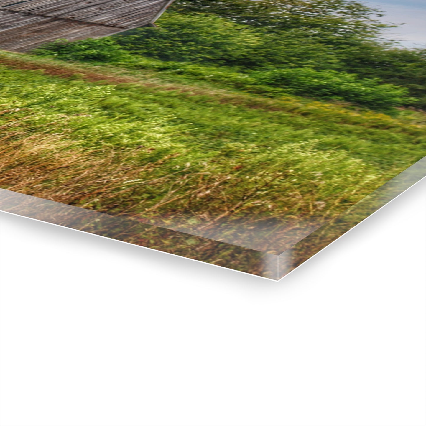 U R There Photography Frankford Road Grey Rustic Farmhouse Acrylic Wall Print