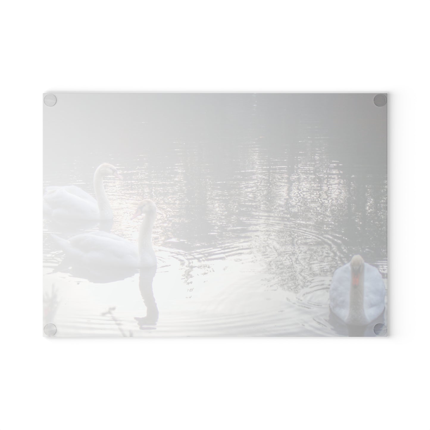 U R There Photography Swans of Duck Lake II Rustic Farmhouse Tempered-Glass Cutting Board