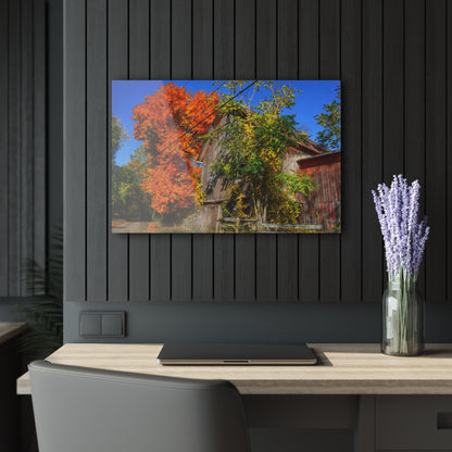 U R There Photography Oxford Rusted Red in Fall Rustic Farmhouse Acrylic Wall Print
