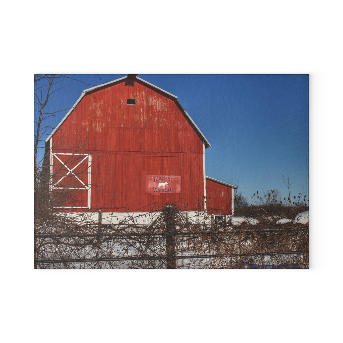 U R There Photography Vassar Red Wild Rustic Farmhouse Tempered-Glass Cutting Board