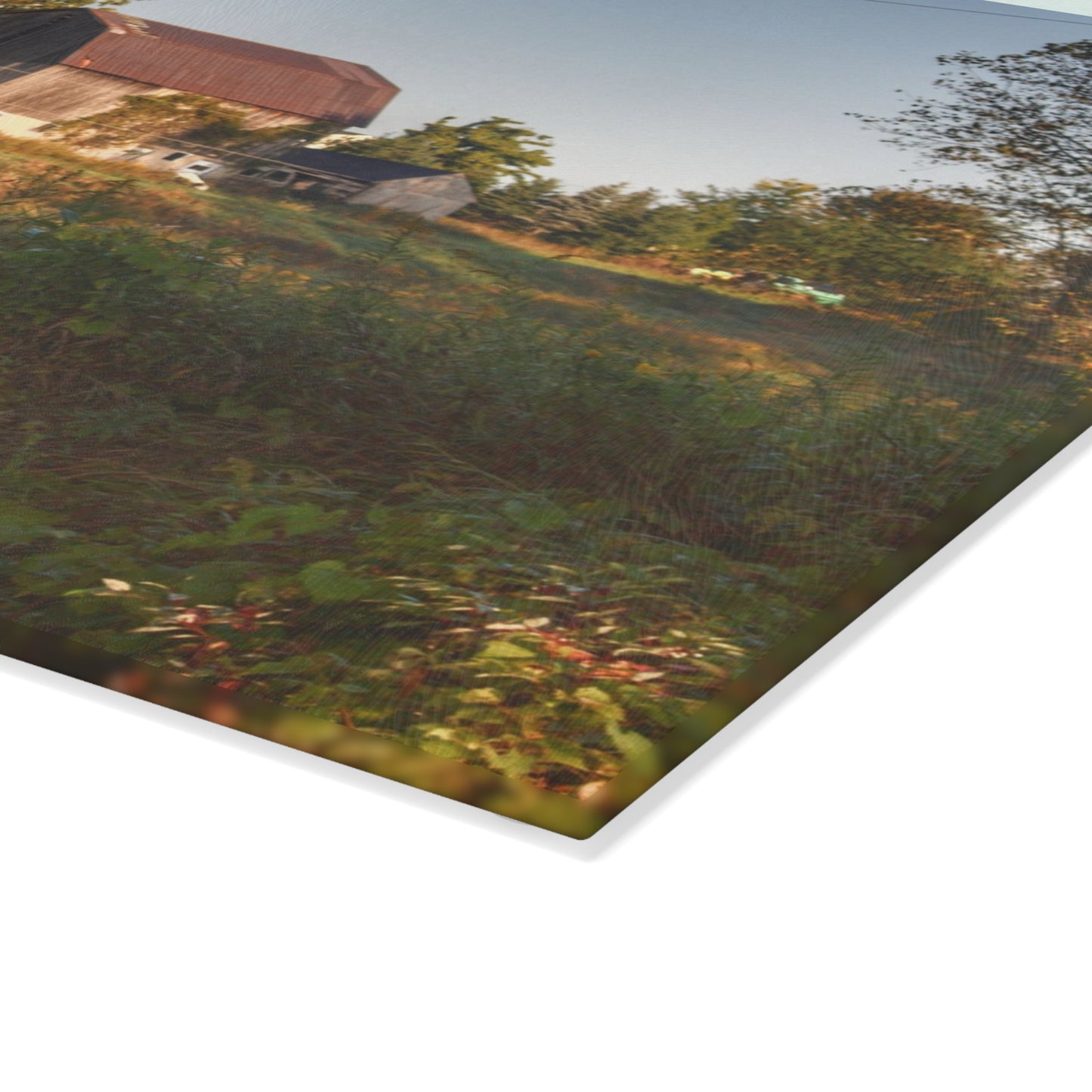 U R There Photography Swaffer Road Little Grey Rustic Farmhouse Tempered-Glass Cutting Board