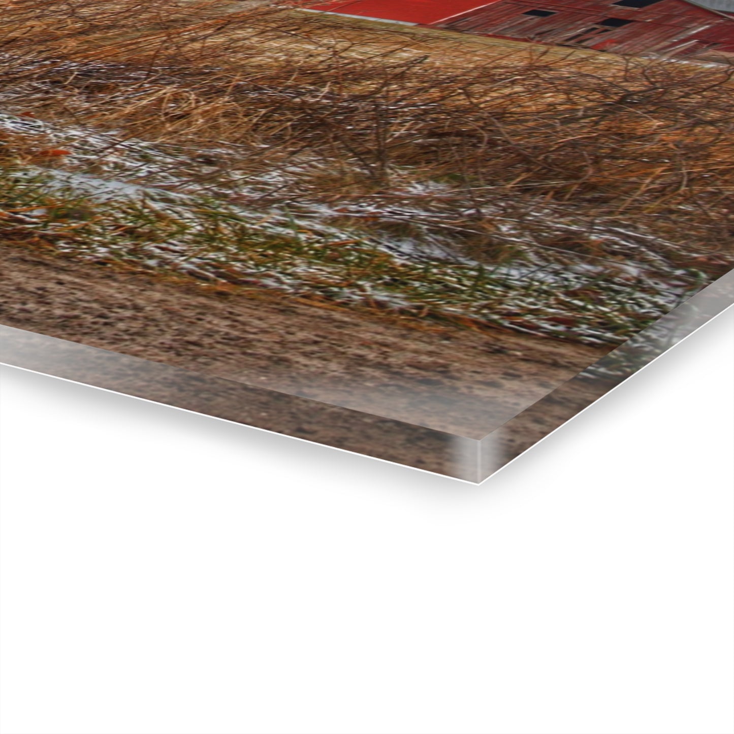 U R There Photography Hough Road Reds Rustic Farmhouse Acrylic Wall Print