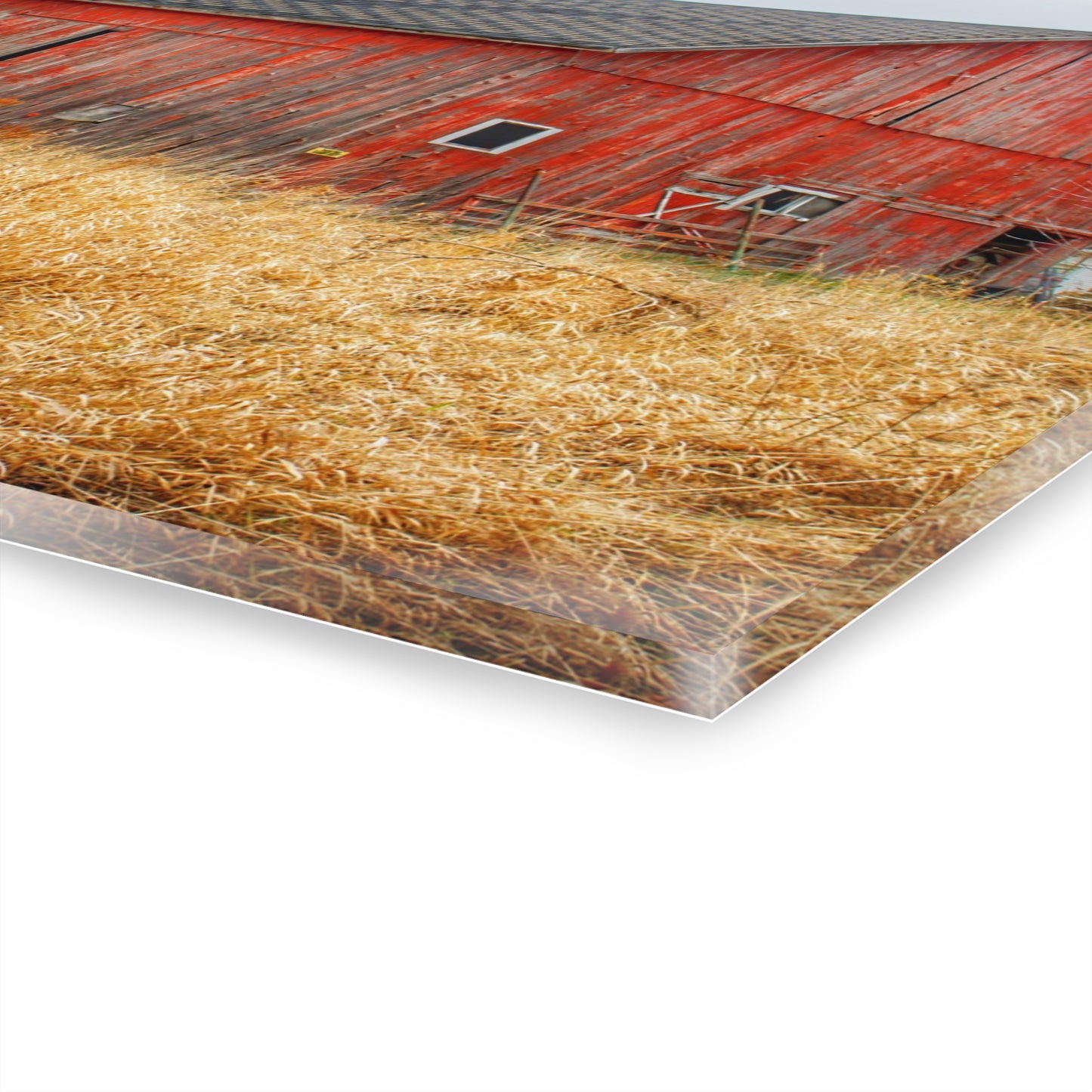 U R There Photography Harrington Road Red Rustic Farmhouse Acrylic Wall Print