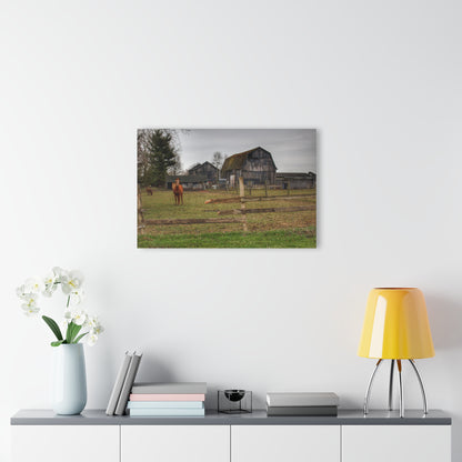 U R There Photography South Summers Road Old Grey and Caramel II Rustic Farmhouse Acrylic Wall Print