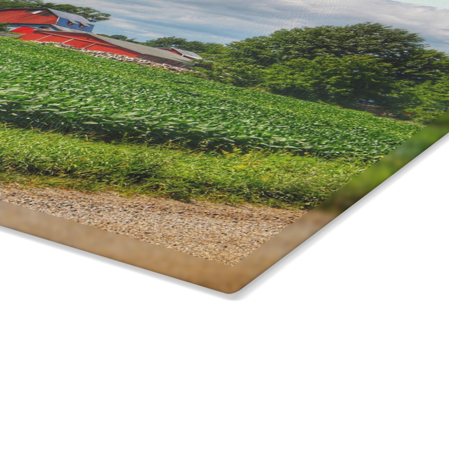 U R There Photography Block Road Reds Rustic Farmhouse Tempered-Glass Cutting Board