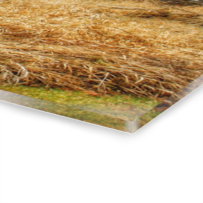 U R There Photography Harrington Road Red Rustic Farmhouse Acrylic Wall Print