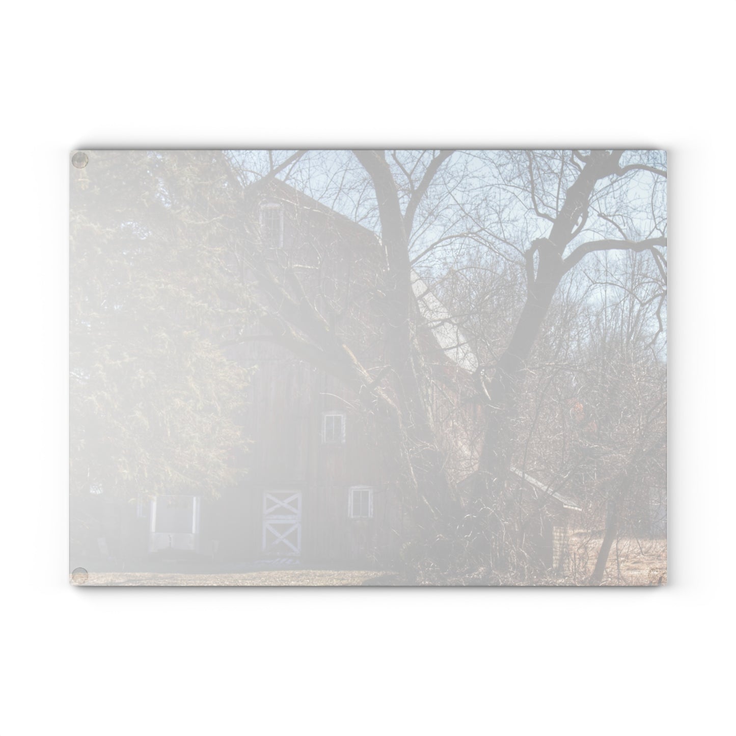 U R There Photography Lakeville Road Hidden Red Rustic Farmhouse Tempered-Glass Cutting Board
