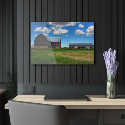 U R There Photography Cass City Elmwood Grey Rustic Farmhouse Acrylic Wall Print