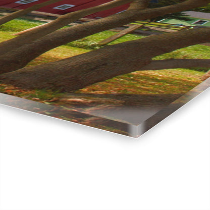 U R There Photography Hough Road Red I Rustic Farmhouse Acrylic Wall Print