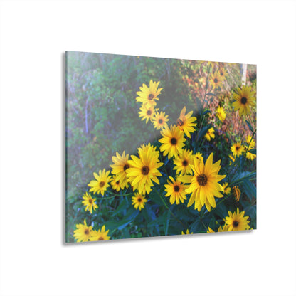 U R There Photography Bursts of Gold Rustic Farmhouse Acrylic Wall Print 14 "x 11"