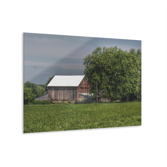 U R There Photography Castle Road Cow Barn III Rustic Farmhouse Acrylic Wall Print