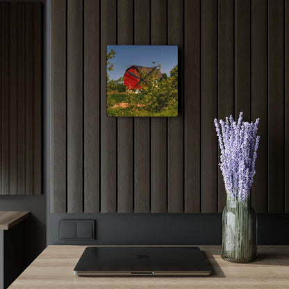 U R There Photography Beyond the Bushes Red Rustic Farmhouse Acrylic Analog Wall Clock