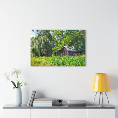U R There Photography Roadside Ruin Rustic Farmhouse Acrylic Wall Print