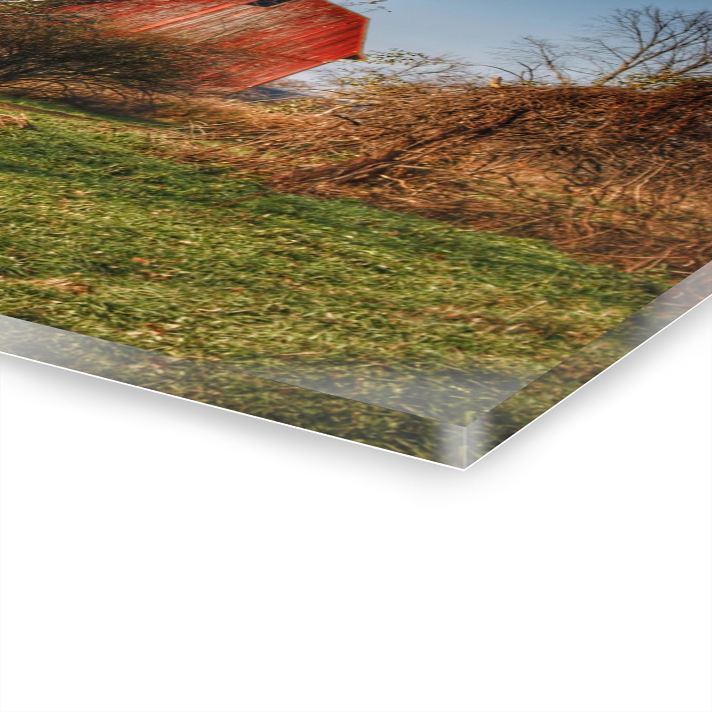 U R There Photography Columbiaville Red in November Rustic Farmhouse Acrylic Wall Print