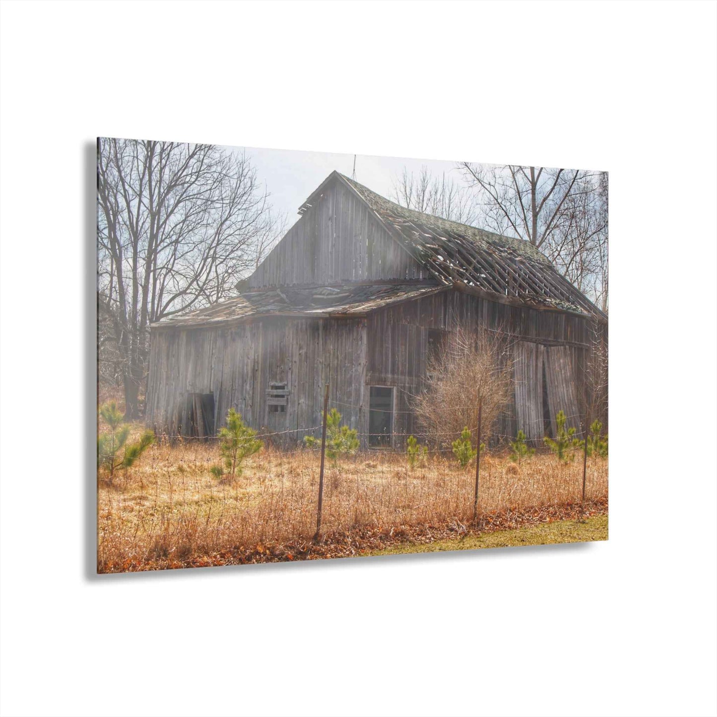 U R There Photography Leix Road Forgotten Grey I Rustic Farmhouse Acrylic Wall Print
