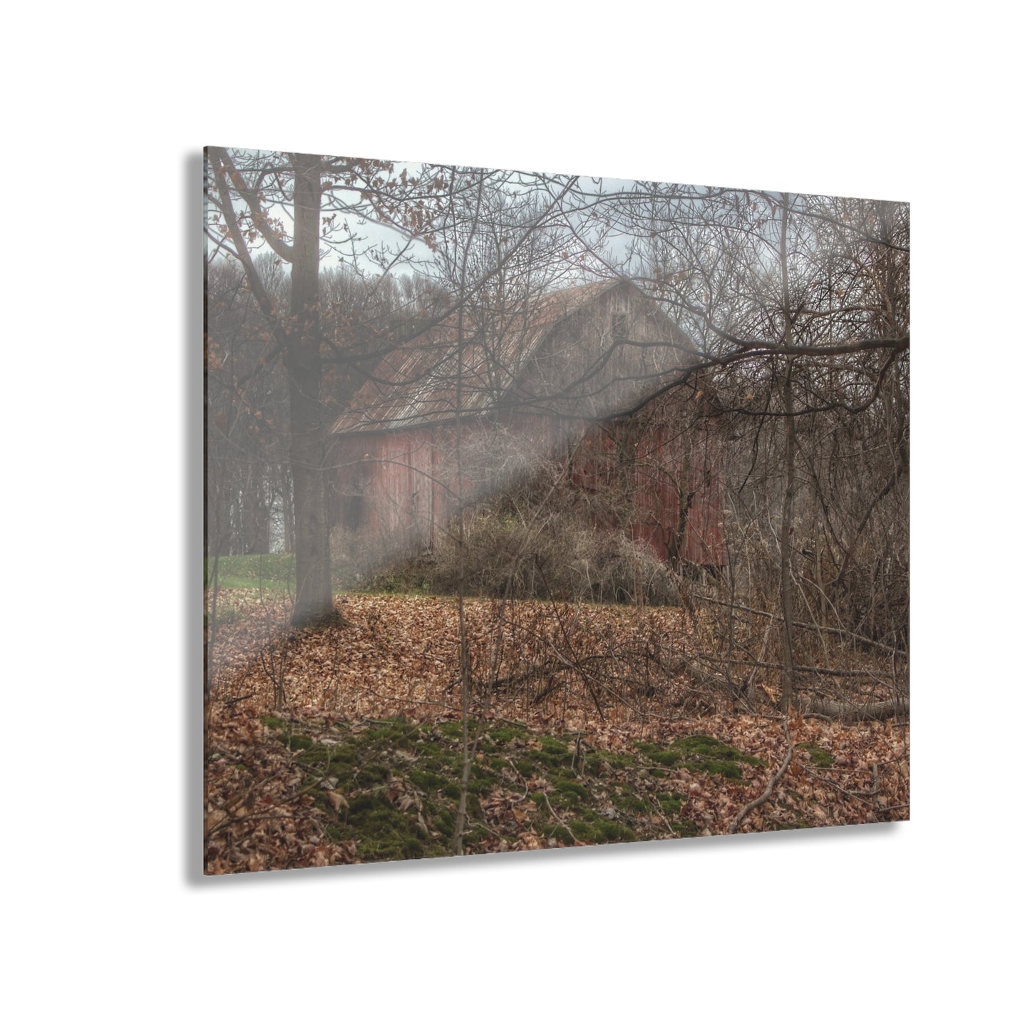 U R There Photography Mayville Hidden Barn II Rustic Farmhouse Acrylic Wall Print