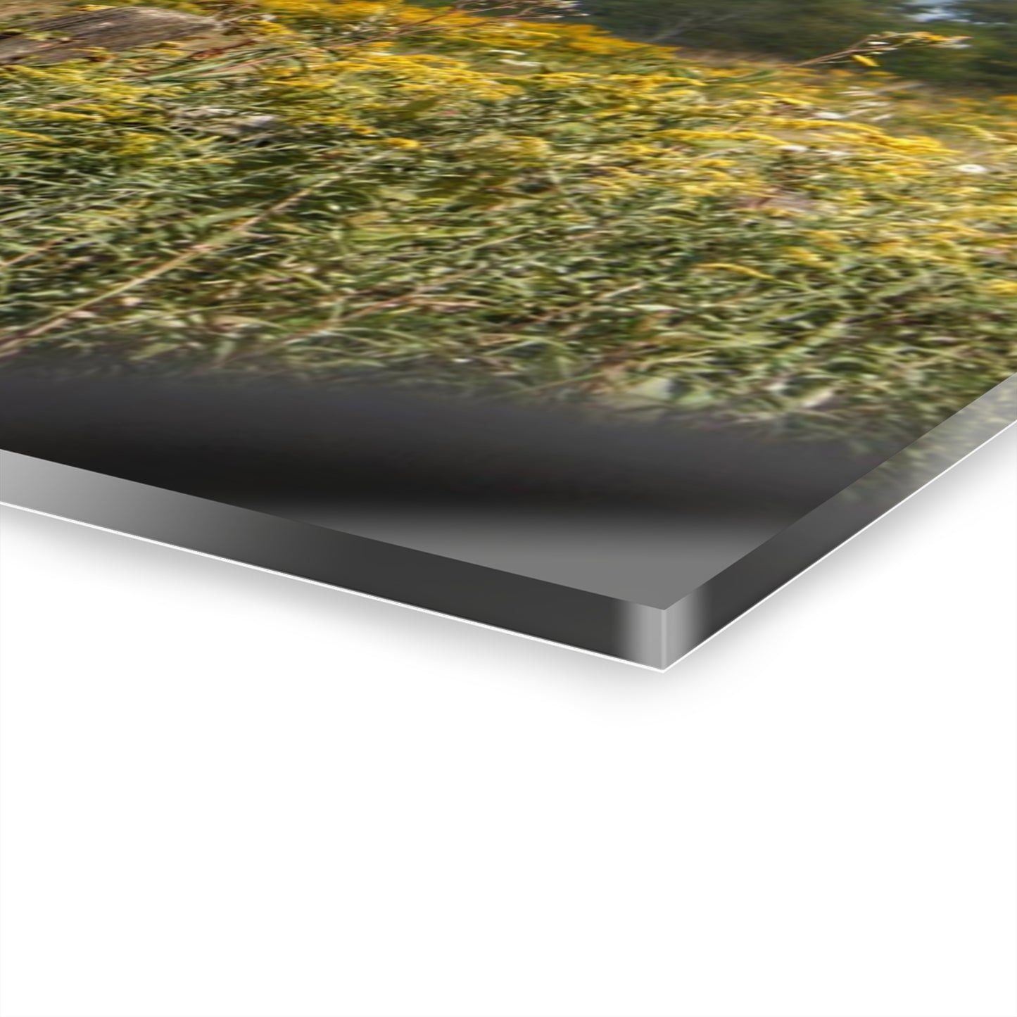 U R There Photography Nettney Road Red Rustic Farmhouse Acrylic Wall Print