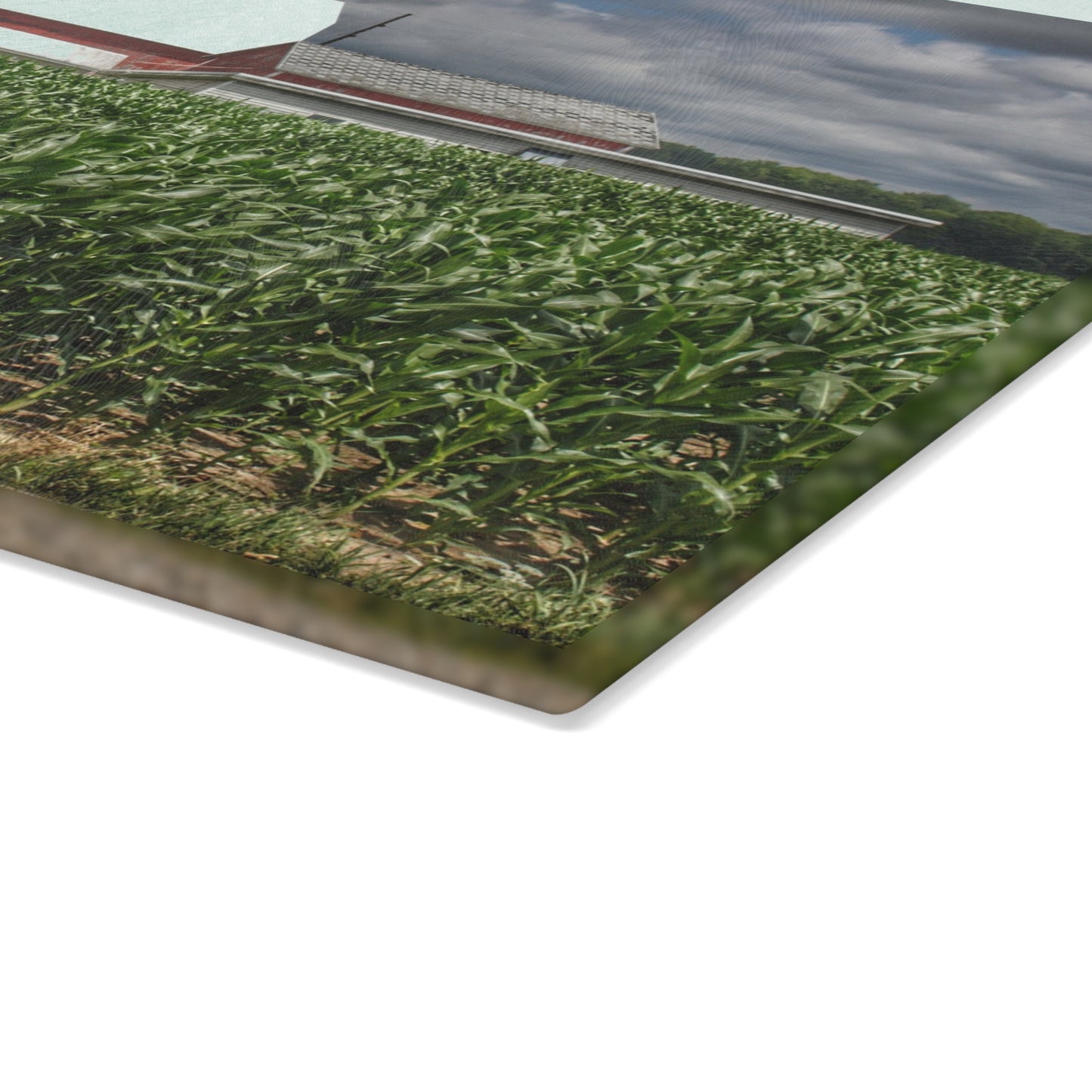 U R There Photography Millington Road Reds Rustic Farmhouse Tempered-Glass Cutting Board