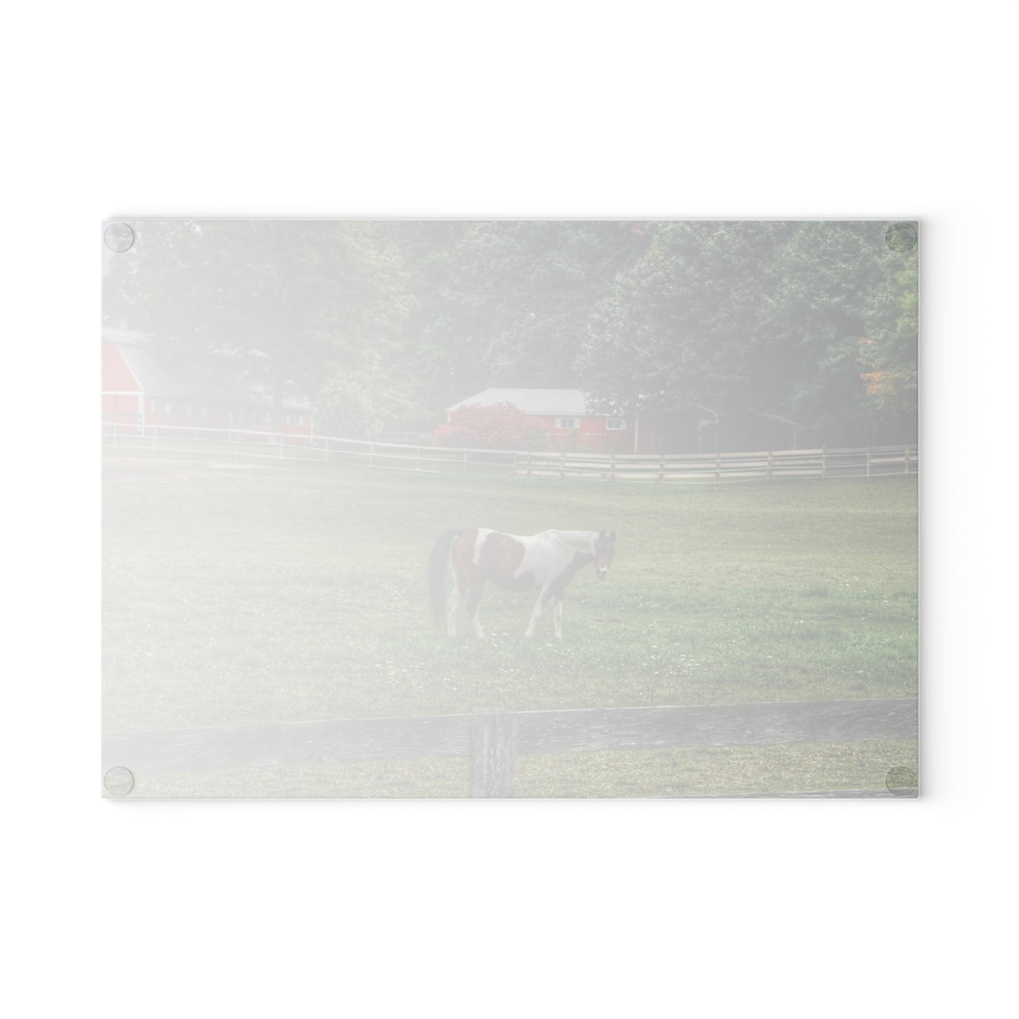 U R There Photography Painted Pony in Pasture Rustic Farmhouse Tempered-Glass Cutting Board