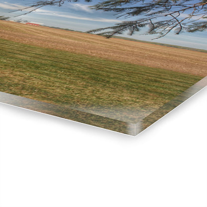 U R There Photography Cass City Farm Rustic Farmhouse Acrylic Wall Print