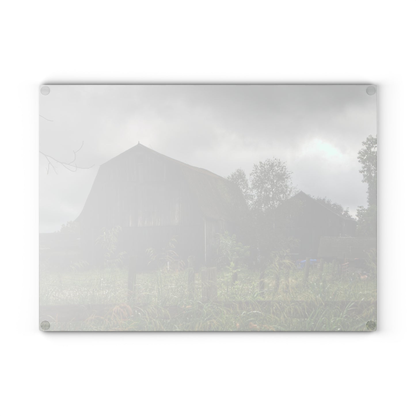 U R There Photography Greys of Summer Road Rustic Farmhouse Tempered-Glass Cutting Board
