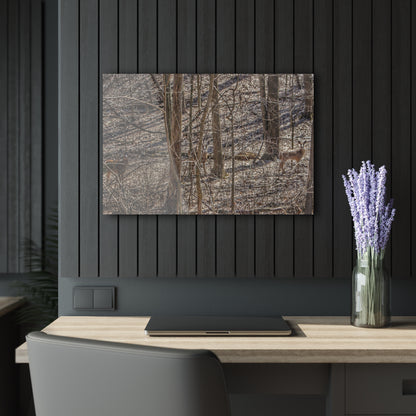 U R There Photography Three Does of Dryden Rustic Farmhouse Acrylic Wall Print