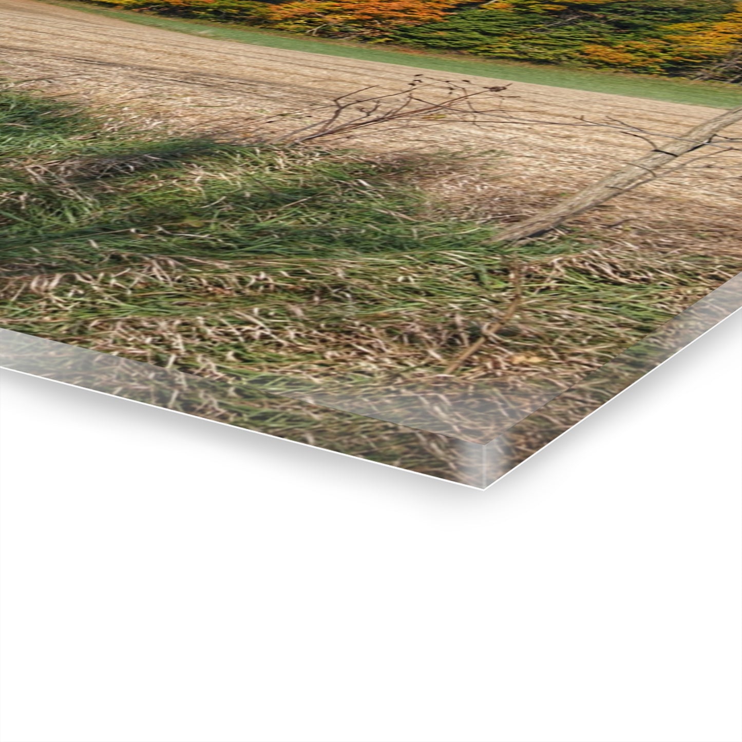 U R There Photography Fall on Piersonville Road Rustic Farmhouse Acrylic Wall Print