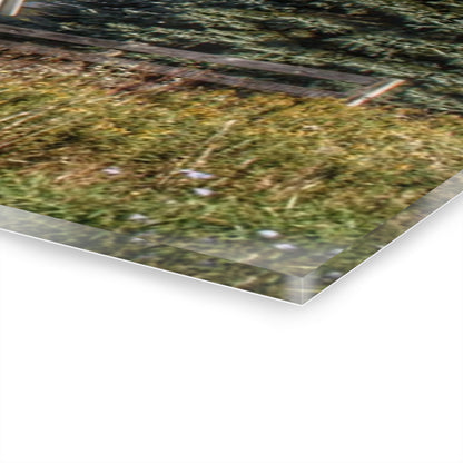 U R There Photography Elmwood Road Red III Rustic Farmhouse Acrylic Wall Print