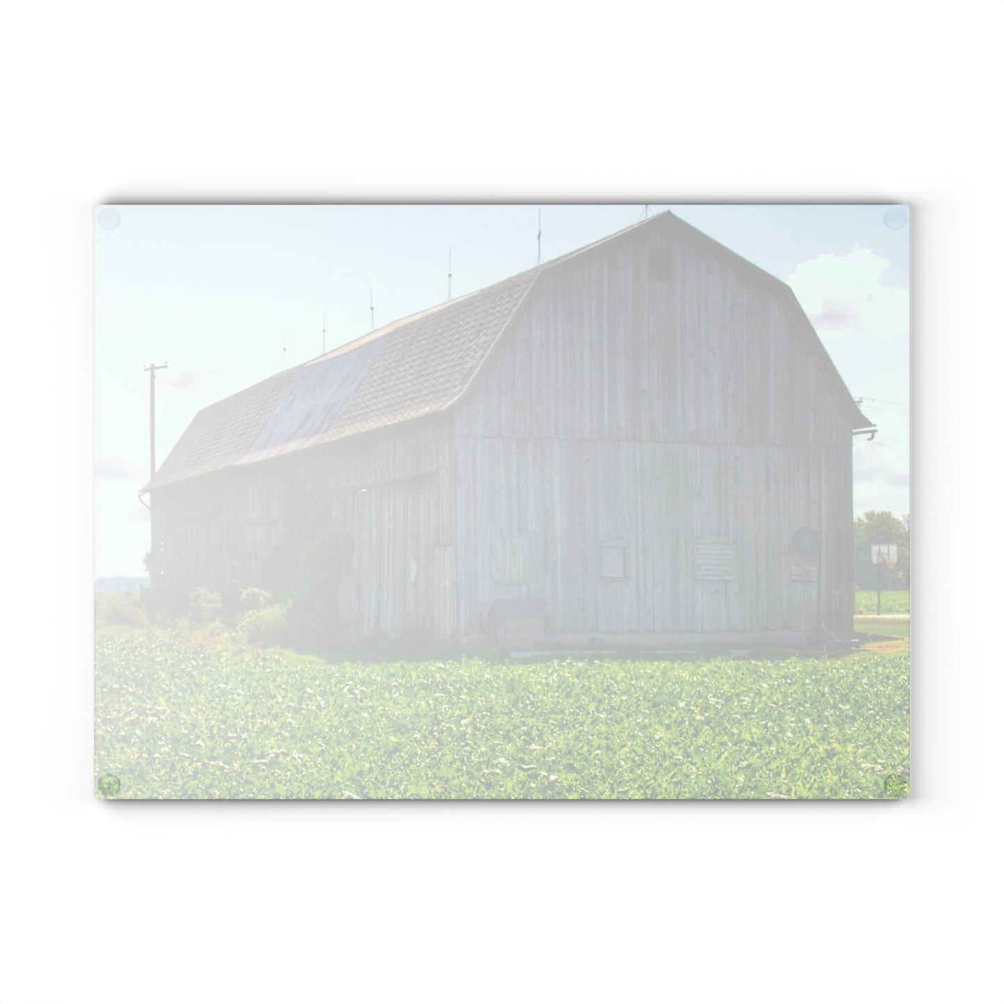 U R There Photography Morning Roadside Grey Rustic Farmhouse Tempered-Glass Cutting Board
