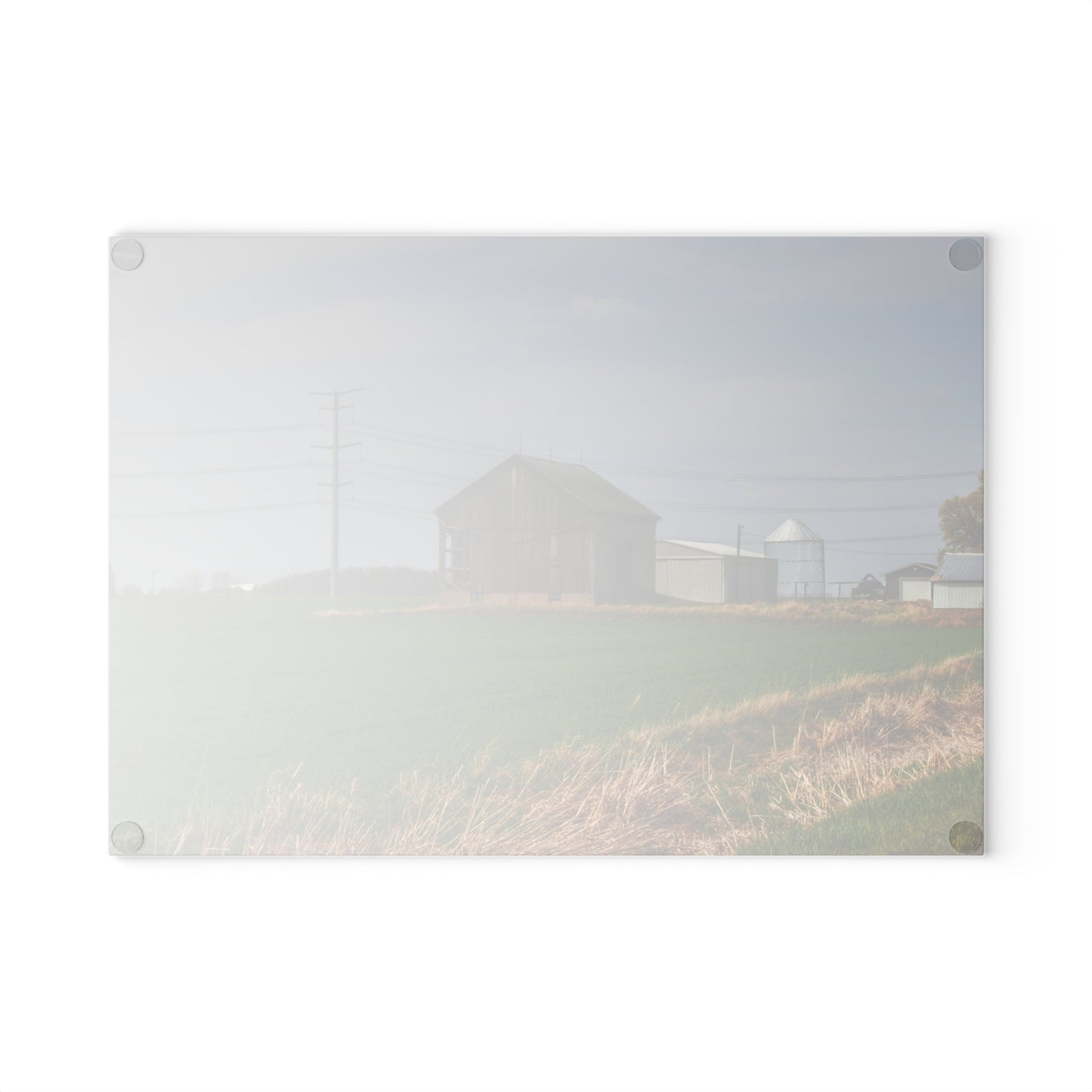 U R There Photography McAlpine Grey Rustic Farmhouse Tempered-Glass Cutting Board