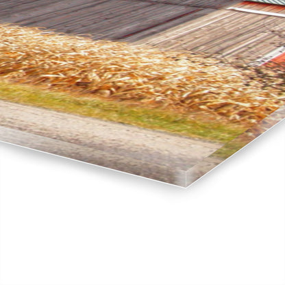 U R There Photography Frankenmuth Greys Rustic Farmhouse Acrylic Wall Print