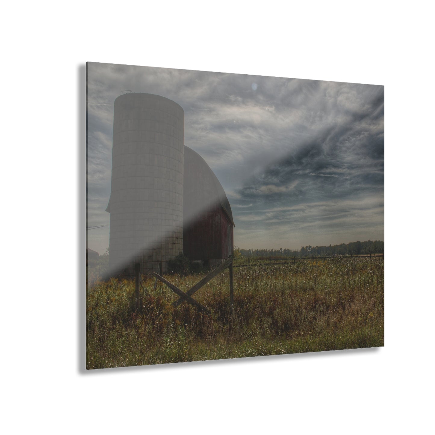 U R There Photography Mushroom Road Red I Rustic Farmhouse Acrylic Wall Print