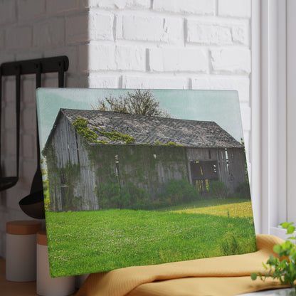 U R There Photography Caro Road Twin Grey II Rustic Farmhouse Tempered-Glass Cutting Board