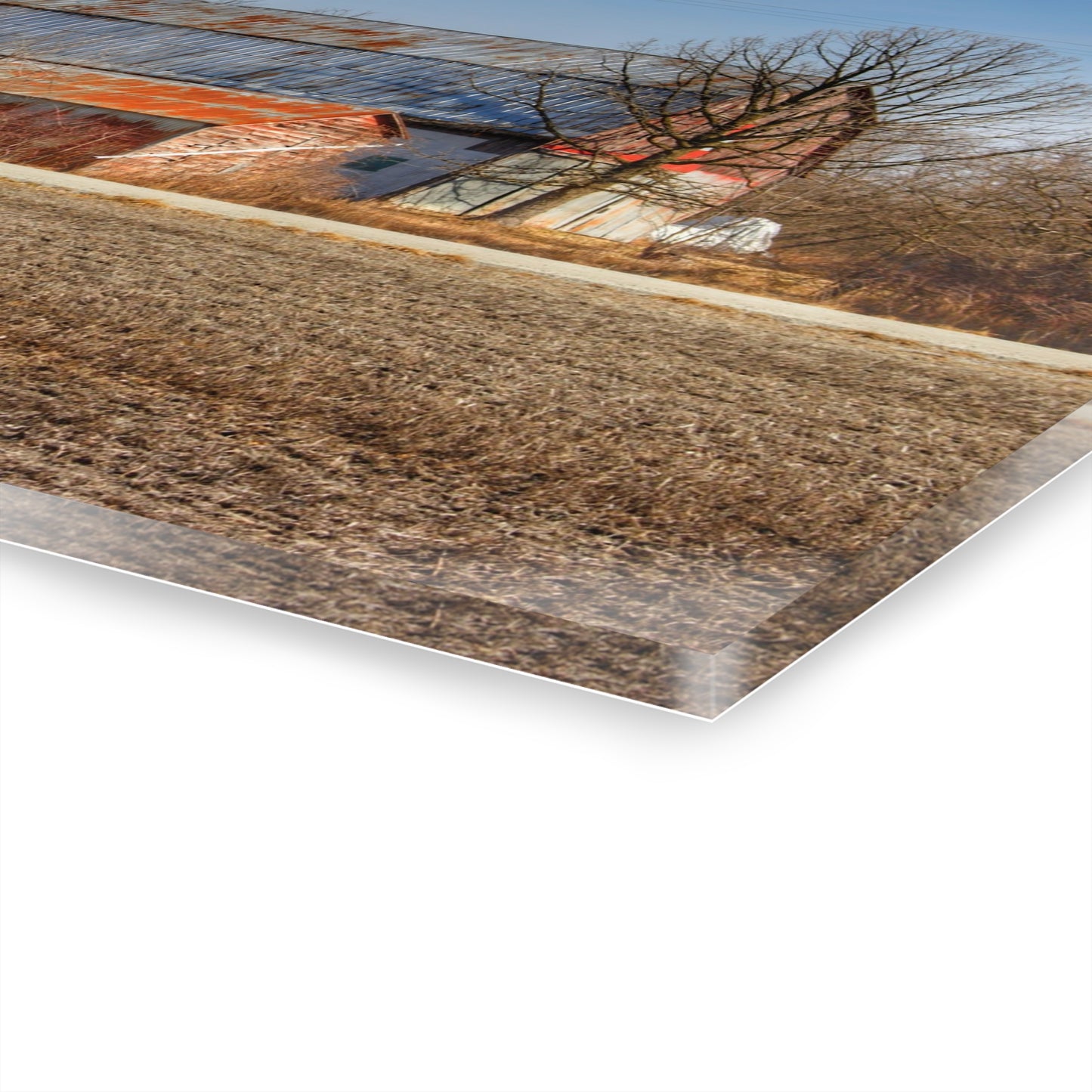 U R There Photography Indian Trail Rusted Reds I Rustic Farmhouse Acrylic Wall Print