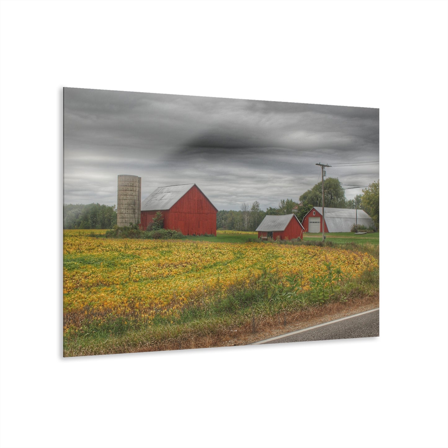 U R There Photography Kingston Road Trio III Rustic Farmhouse Acrylic Wall Print