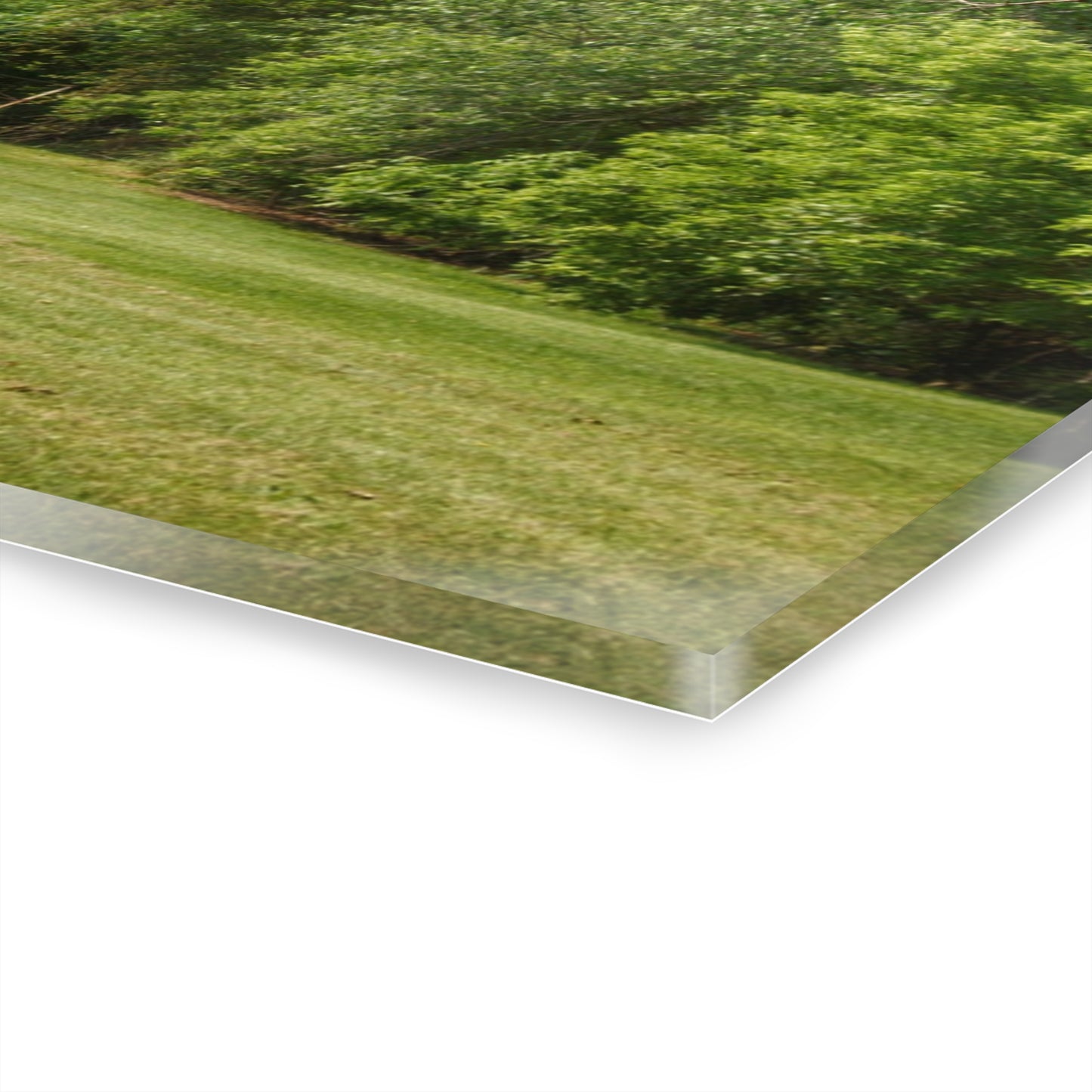 U R There Photography Hunters Creek White Rustic Farmhouse Acrylic Wall Print