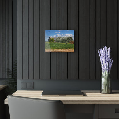 U R There Photography Lake Road Grey Rustic Farmhouse Acrylic Wall Print