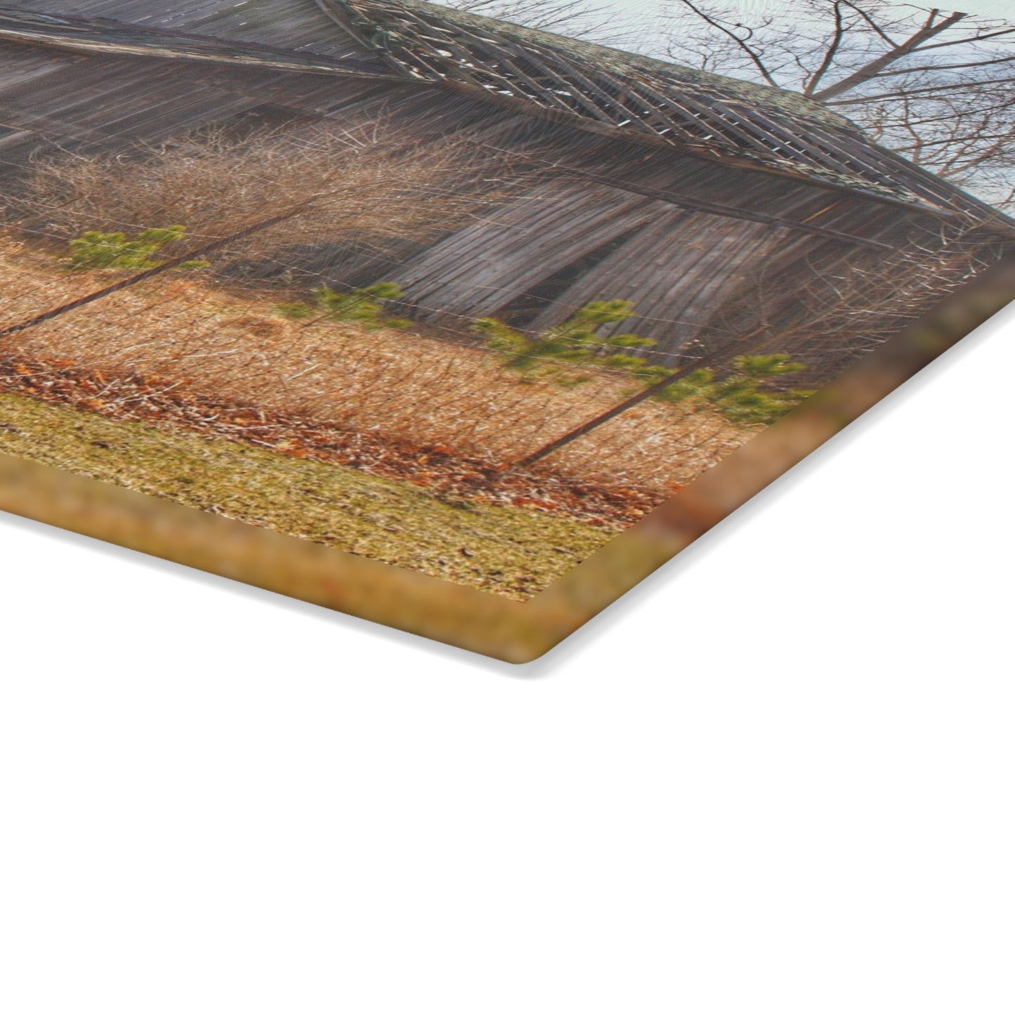 U R There Photography Leix Road Forgotten Grey I Rustic Farmhouse Tempered-Glass Cutting Board