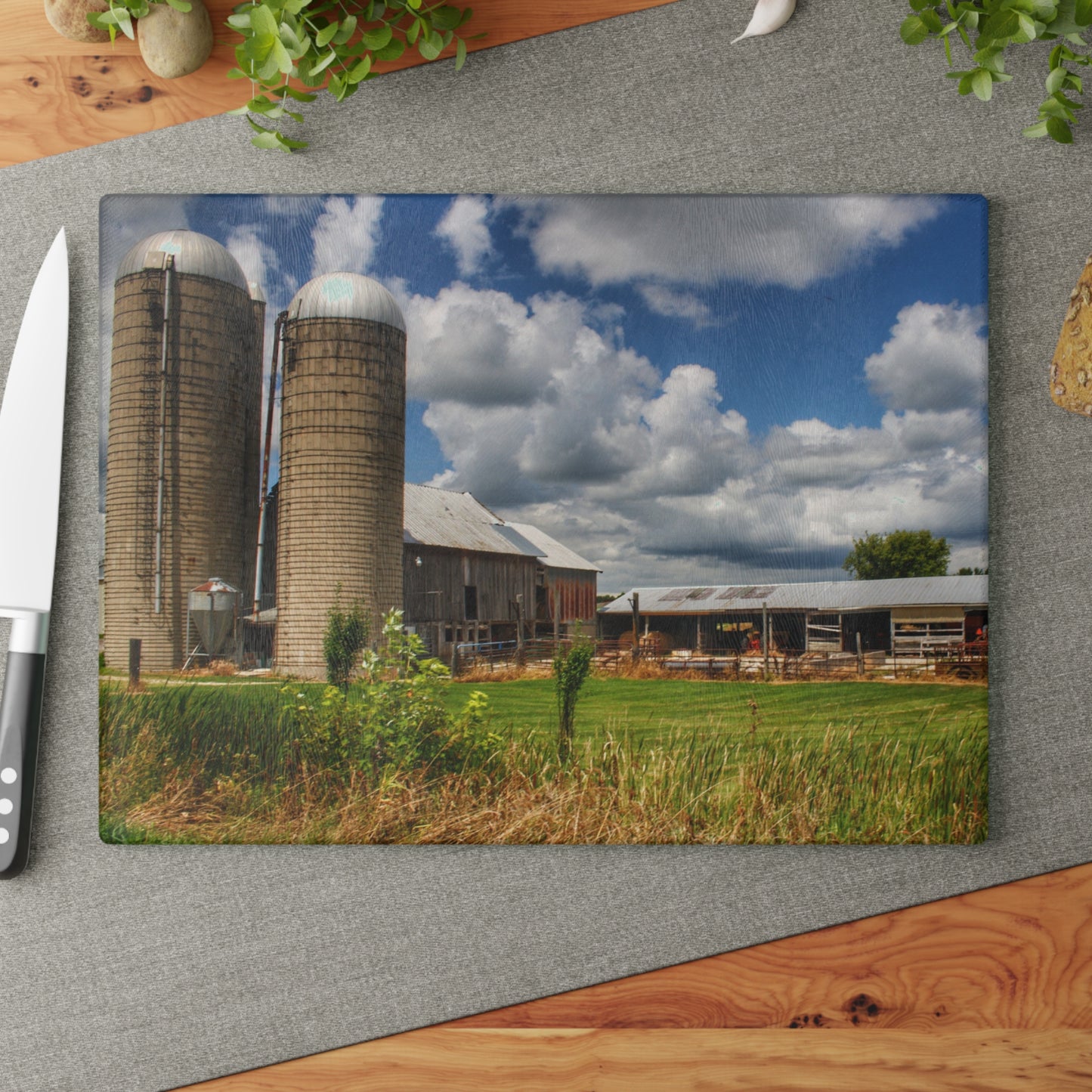 U R There Photography Millington Grey and Silos Rustic Farmhouse Tempered-Glass Cutting Board