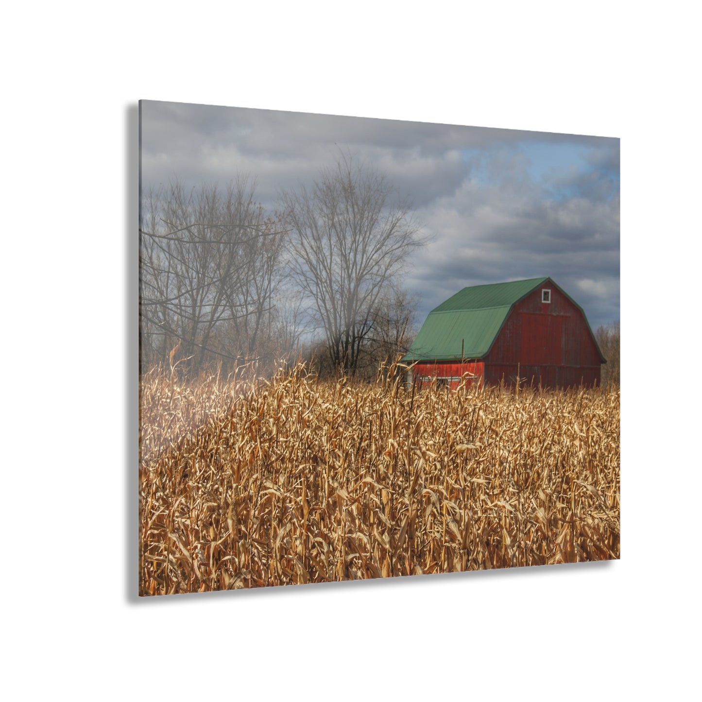 U R There Photography North Force Road Hidden Red Rustic Farmhouse Acrylic Wall Print