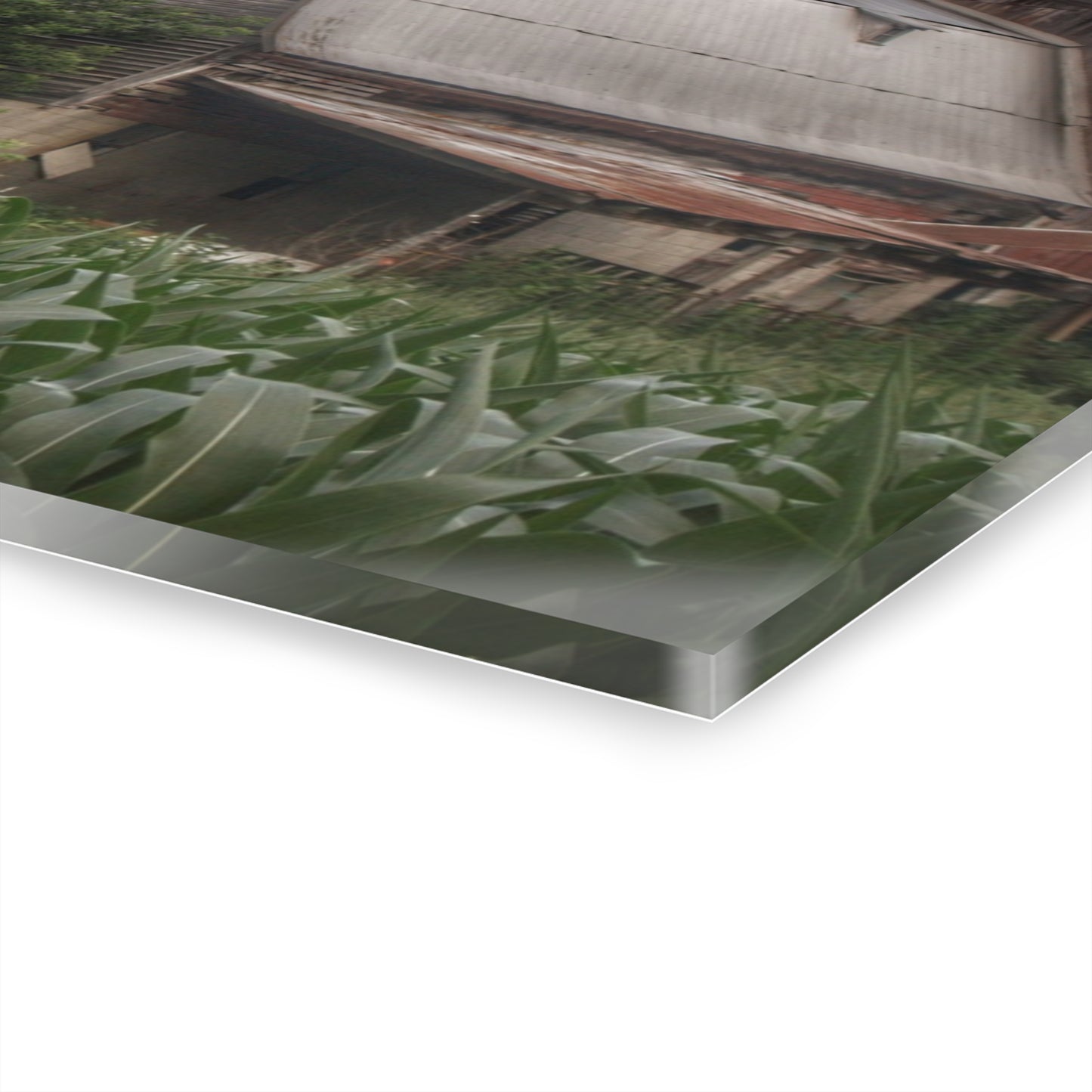 U R There Photography Murphy Lake Road Grey lI Rustic Farmhouse Acrylic Wall Print