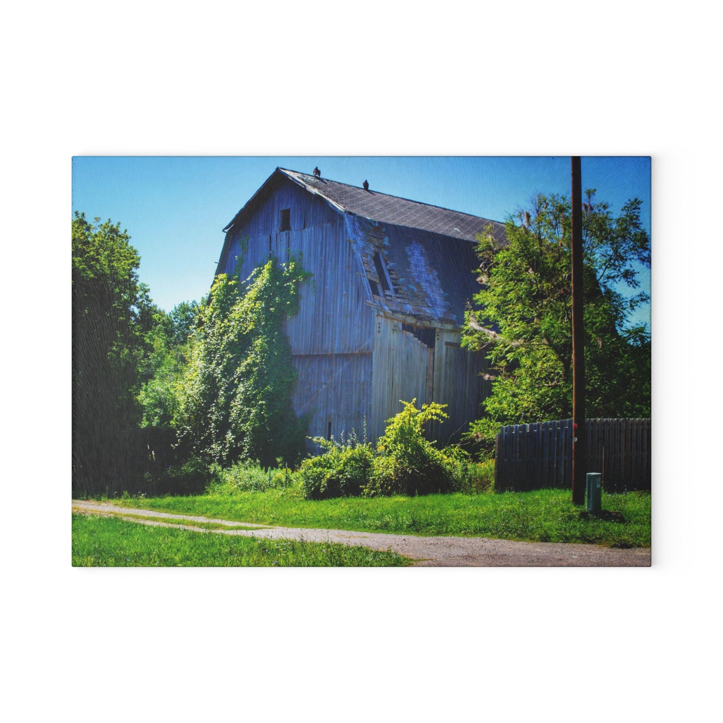 U R There Photography Dryden Road Grey Rustic Farmhouse Tempered-Glass Cutting Board