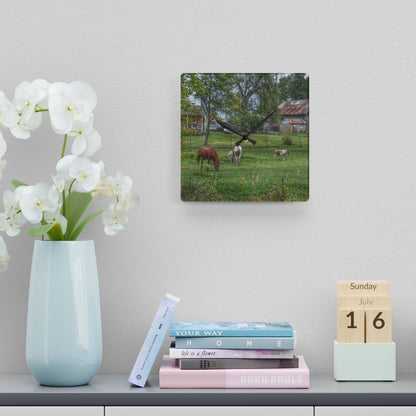 U R There Photography Front Yard Ponies Rustic Farmhouse Acrylic Analog Wall Clock